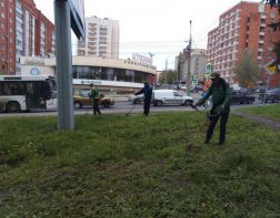 В Пензе приступят к покосу травы