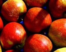 В Пензе уничтожили 82 кг польских яблок