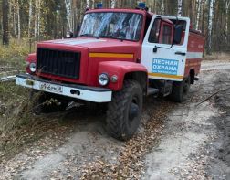 В Пензенской области с 25 марта начнется пожароопасный период