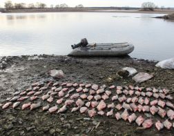 В Пензе у браконьеров изъяли около трех километров рыболовных сетей
