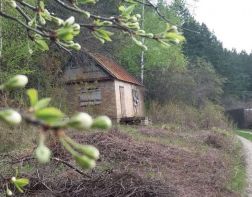 Пензенскую область ждут похолодание и заморозки
