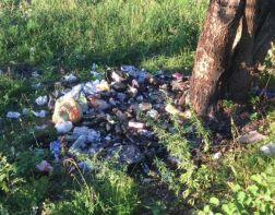 Жители Пензы просят спасти лес на Западной поляне