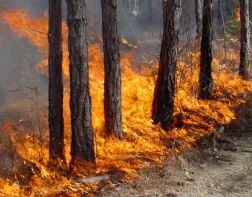 В Ахунах потушили два пожара