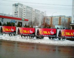 250 рублей за метр: в Пензе открылись первые елочные базары