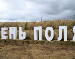 В пензенском минкульте рассказали о Дне поля