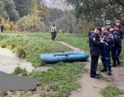 В Пензе в пруду на Западной поляне обнаружили труп