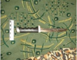 Жительница области 42 раза ударила ножом супруга