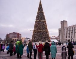 В Пензе главную новогоднюю елку планируют установить к 1 декабря
