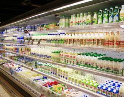 В Пензе отмечен рост производства молока и рост цен на молочную продукцию