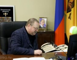 Мельниченко поздравил 100-летнюю пензячку с юбилеем