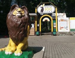 Пензенский зоопарк будет работать на час меньше