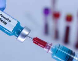 Паспорт привитого от COVID-19 можно будет получить на сайте госуслуг
