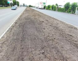 В Пензе на улице Чаадаева обновляют газон на разделительной полосе