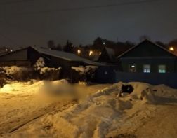Пожар в новогоднюю ночь в Пензе унес жизни двух человек