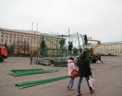 В Пензе приступили к установке главной елки города