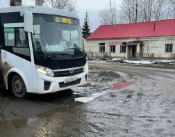 В Пензе на маршрут №25 выйдут 20 автобусов