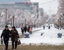 Пензенцы год живут в режиме повышенной готовности