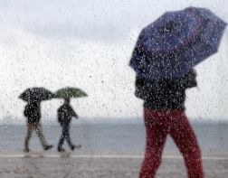 В Пензенской области дождливая погода сохранится до конца недели 