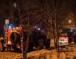 В Пензенской области в пожаре погиб 79-летний мужчина