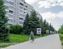 В Заречном раскрыли серию краж велосипедов