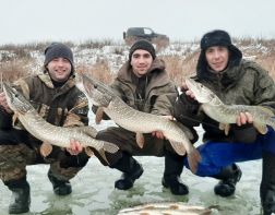 ﻿Пензенские рыбаки выкладывают фото зимних трофеев