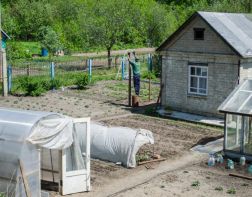  Дачную амнистию продлили