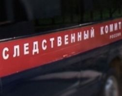 Под Пензой тракторист раздавил своего приятеля, катавшегося в ковше