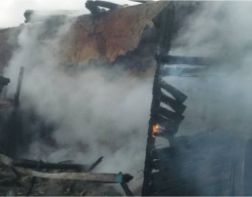 В Пензенской области сгорела надворная постройка 