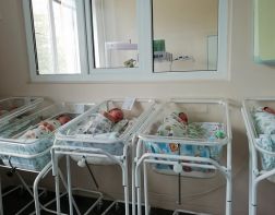 В Пензе за полгода родилось более 4,5 тыс детей