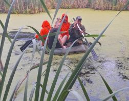 Зареченские подростки заблудились на лесном болоте