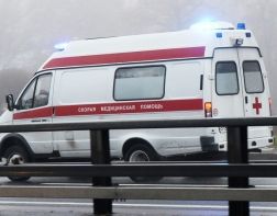 В Пензенской области пассажир иномарки погиб после столкновения с «КАМАЗом»