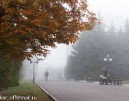 Пенза оказалась в группе отстающих в рейтинге экологии регионов