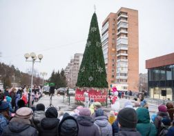 Чем запомнился зареченцам 2020 год