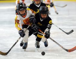 В зимние каникулы школьникам устроят мастер-классы по хоккею