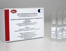 В Пензе доставили новую партию вакцины «Эпивак-Корона»