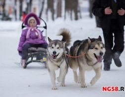 Зимние забавы по-пензенски, или где в Пензе лыжи едут