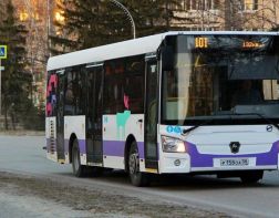 Зареченцам ответили о возвращении проездных для школьников