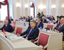 Депутат Заксобра Пензенской области не заработал за год ни копейки