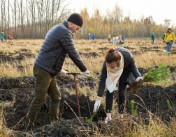 В Заре создадут «Сад памяти – сад жизни»