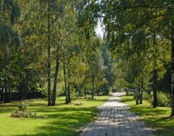 В Пензе будут реконструировать парк «Олимпийский»