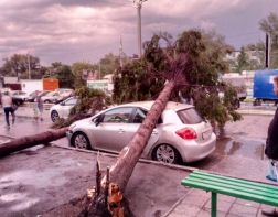 Сломанные деревья, машины и потоп: как в Пензе пережили ливень