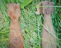 В Пензенской области грибники нашли две мины времен ВОВ