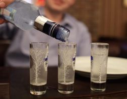 В пензенском баре посетителю принесли водку с комаром