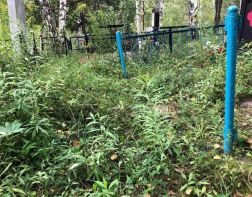 На Чемодановском кладбище воруют ограды