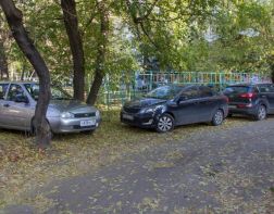 В Пензе упавшее дерево покорежило три автомобиля