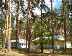 На ремонт детских лагерей требуется порядка 700 млн рублей
