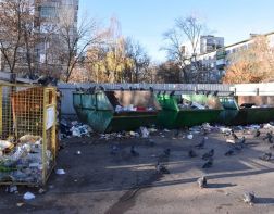 В Пензе открыли горячую линию по вопросам вывоза мусора