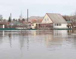 Итоги недели: памятник Ермину, цирк, повестки, подтопления