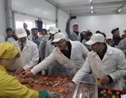     В Пензенской области открыли птицефабрику