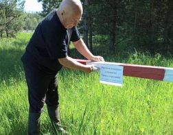 Пензенцам с 10 июля запретили ходить в лес